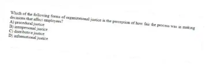 Which of the following forms of organizational justice is the perception of how fair the process was in making decisions that affect employees?
A) procedural justice
B) interpersonal justice
C) distributive justice
D) informational justice