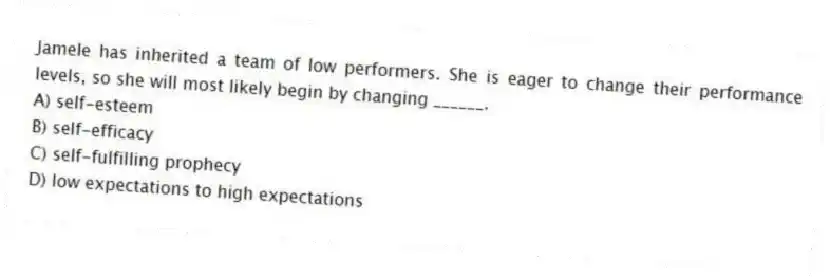 Jamele has inherited a team of low performers. She is eager to change their performance levels, so she will most likely begin by changing ______.
A) self-esteem
B) self-efficacy
C) self-fulfilling prophecy
D) low expectations to high expectations