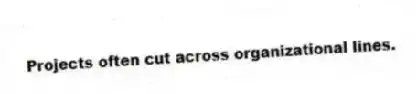 Projects often cut across organizational lines.
