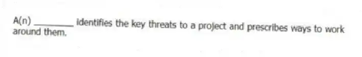 A(n) ________ identifies the key threats to a project and prescribes ways to work around them.