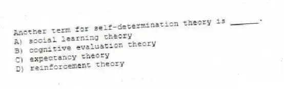Another term for self-determination theory is ______.
A) social learning theory
B) cognitive evaluation theory
C) expectancy theory
D) reinforcement theory