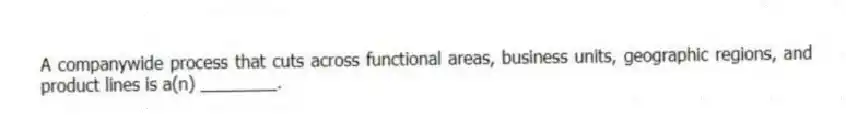 A companywide process that cuts across functional areas, business units, geographic regions, and product lines is a(n) ________.