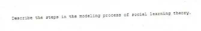Describe the steps in the modeling process of social learning theory.
