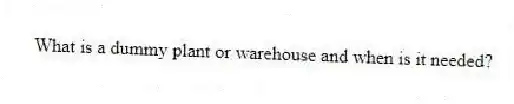 What is a dummy plant or warehouse and when is it needed?