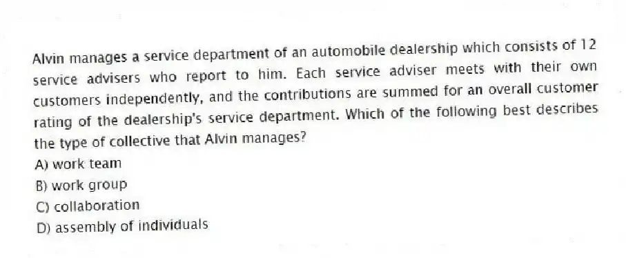 Alvin manages a service department of an automobile dealership which consists of 12 service advisers who report to him. Each service adviser meets with their own customers independently, and the contributions are summed for an overall customer rating of the dealership's service department. Which of the following best describes the type of collective that Alvin manages?
A) work team
B) work group
C) collaboration
D) assembly of individuals