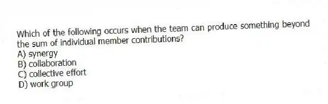 Which of the following occurs when the team can produce something beyond the sum of individual member contributions?
A) synergy
B) collaboration
C) collective effort
D) work group
