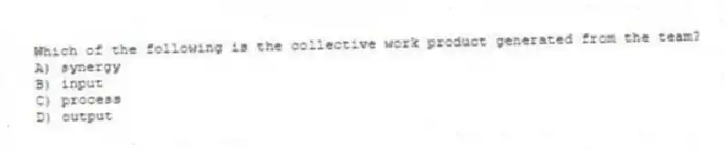 Which of the following is the collective work product generated from the team?
A) synergy
B) input
C) process
D) output