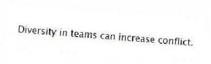 Diversity in teams can increase conflict.