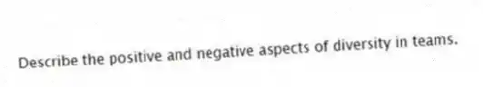Describe the positive and negative aspects of diversity in teams.