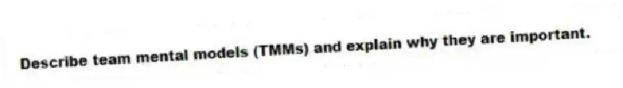 Describe team mental models (TMMs) and explain why they are important.