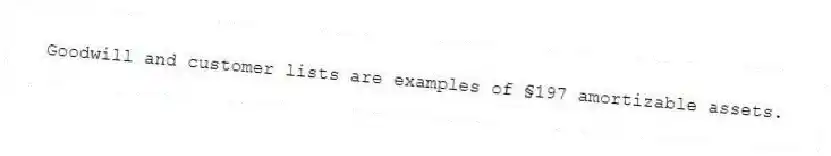Goodwill and customer lists are examples of §197 amortizable assets.