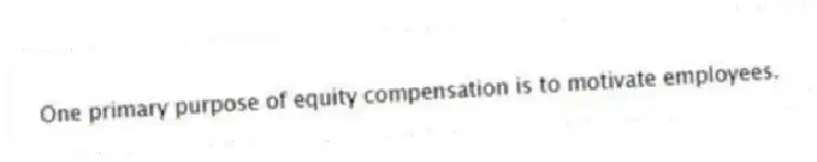 One primary purpose of equity compensation is to motivate employees.