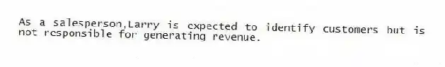 As a salesperson,Larry is expected to identify customers but is not responsible for generating revenue.