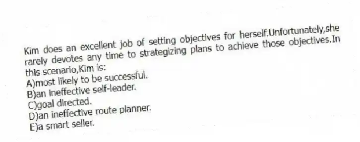 Kim does an excellent job of setting objectives for herself.Unfortunately,she rarely devotes any time to strategizing plans to achieve those objectives.In this scenario,Kim is:
A)most likely to be successful.
B)an ineffective self-leader.
C)goal directed.
D)an ineffective route planner.
E)a smart seller.