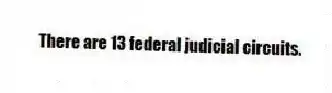 There are 13 federal judicial circuits.