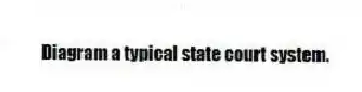 Diagram a typical state court system.