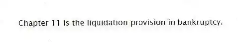 Chapter 11 is the liquidation provision in bankruptcy.