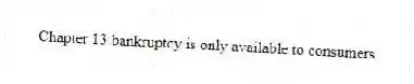 Chapter 13 bankruptcy is only available to consumers.