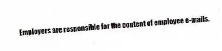 Employers are responsible for the content of employee e-mails.