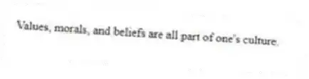 Values, morals, and beliefs are all part of one's culture.