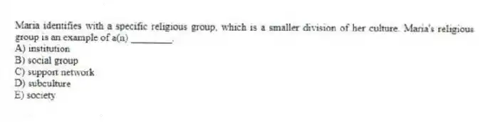 Maria identifies with a specific religious group, which is a smaller division of her culture. Maria's religious group is an example of a(n) ________.
A) institution
B) social group
C) support network
D) subculture
E) society
