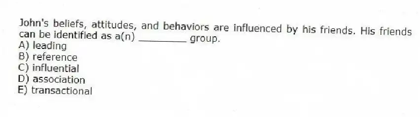 John's beliefs, attitudes, and behaviors are influenced by his friends. His friends can be identified as a(n) ________ group.
A) leading
B) reference
C) influential
D) association
E) transactional
