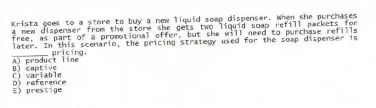 Krista goes to a store to buy a new liquid soap dispenser. When she purchases a new dispenser from the store she gets two liquid soap refill packets for free, as part of a promotional offer, but she will need to purchase refills later. In this scenario, the pricing strategy used for the soap dispenser is ________ pricing.
A) product line
B) captive
C) variable
D) reference
E) prestige
