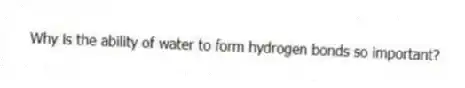 Why is the ability of water to form hydrogen bonds so important?