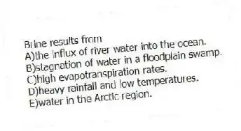 Brine results from
A)the influx of river water into the ocean.
B)stagnation of water in a floodplain swamp.
C)high evapotranspiration rates.
D)heavy rainfall and low temperatures.
E)water in the Arctic region.