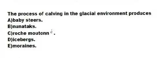 The process of calving in the glacial environment produces
A)baby steers.
B)nunataks.
C)roche moutonn .
D)icebergs.
E)moraines.