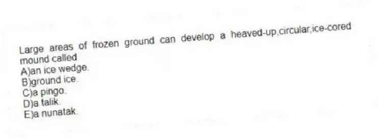 Large areas of frozen ground can develop a heaved-up,circular,ice-cored mound called
A)an ice wedge.
B)ground ice.
C)a pingo.
D)a talik.
E)a nunatak.