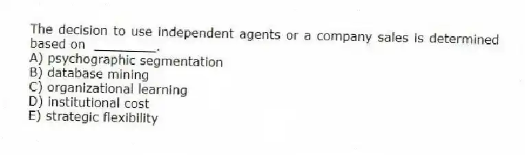 The decision to use independent agents or a company sales is determined based on ________.
A) psychographic segmentation
B) database mining
C) organizational learning
D) institutional cost
E) strategic flexibility