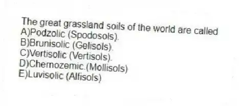 The great grassland soils of the world are called
A)Podzolic (Spodosols).
B)Brunisolic (Gelisols).
C)Vertisolic (Vertisols).
D)Chernozemic.(Mollisols)
E)Luvisolic (Alfisols)