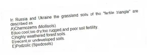 In Russia and Ukraine the grassland soils of the "fertile triangle" are described as
A)Chernozems (Mollisols).
B)too cool,too dry,too rugged,and poor soil fertility.
C)highly weathered forest soils.
D)recent,or undeveloped soils.
E)Podzolic (Spodosols)