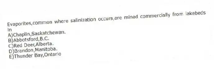 Evaporites,common where salinization occurs,are mined commercially from lakebeds in
A)Chaplin,Saskatchewan.
B)Abbotsford,B.C.
C)Red Deer,Alberta.
D)Brandon,Manitoba.
E)Thunder Bay,Ontario
