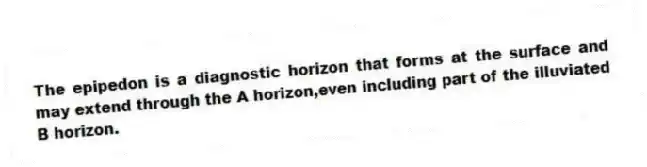 The epipedon is a diagnostic horizon that forms at the surface and may extend through the A horizon,even including part of the illuviated B horizon.