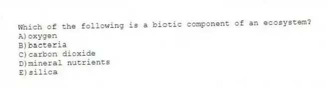Which of the following is a biotic component of an ecosystem?
A)oxygen
B)bacteria
C)carbon dioxide
D)mineral nutrients
E)silica