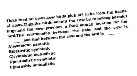 Ticks feed on cows,cow birds pick off ticks from the backs of cows.Thus,the birds benefit the cow by removing harmful bugs,and the cow provides a food source location for the bird.The relationship between the ticks and the cow is ________,and that between the cow and the bird is ________.
A)symbiotic parasitic
B)parasitic symbiotic
C)symbiotic mutualistic
D)mutualistic symbiotic
E)parasitic mutualistic