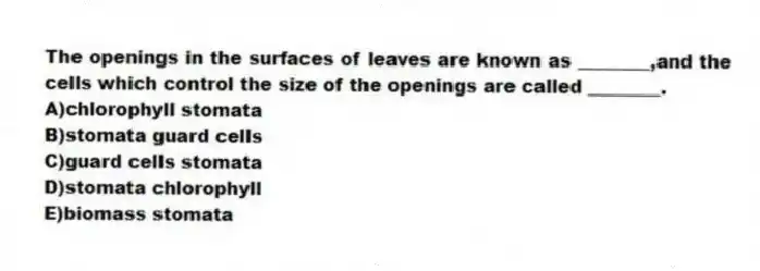The openings in the surfaces of leaves are known as ________,and the cells which control the size of the openings are called ________.
A)chlorophyll stomata
B)stomata guard cells
C)guard cells stomata
D)stomata chlorophyll
E)biomass stomata