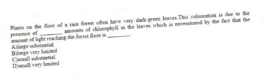 Plants on the floor of a rain forest often have very dark-green leaves.This colouration is due to the presence of ________ amounts of chlorophyll in the leaves which is necessitated by the fact that the amount of light reaching the forest floor is ________.
A)large substantial
B)large very limited
C)small substantial
D)small very limited