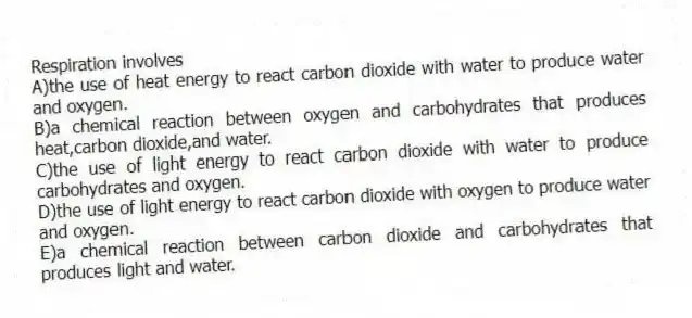 Respiration involves
A)the use of heat energy to react carbon dioxide with water to produce water and oxygen.
B)a chemical reaction between oxygen and carbohydrates that produces heat,carbon dioxide,and water.
C)the use of light energy to react carbon dioxide with water to produce carbohydrates and oxygen.
D)the use of light energy to react carbon dioxide with oxygen to produce water and oxygen.
E)a chemical reaction between carbon dioxide and carbohydrates that produces light and water.