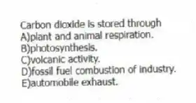 Carbon dioxide is stored through
A)plant and animal respiration.
B)photosynthesis.
C)volcanic activity.
D)fossil fuel combustion of industry.
E)automobile exhaust.
