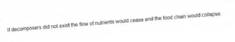 If decomposers did not exist,the flow of nutrients would cease and the food chain would collapse.