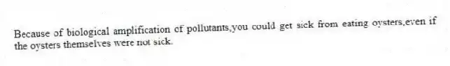 Because of biological amplification of pollutants,you could get sick from eating oysters,even if the oysters themselves were not sick.
