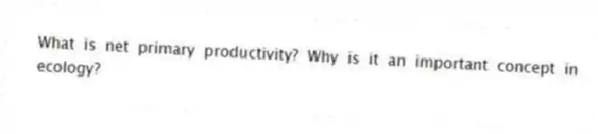 What is net primary productivity? Why is it an important concept in ecology?