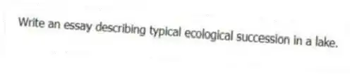 Write an essay describing typical ecological succession in a lake.