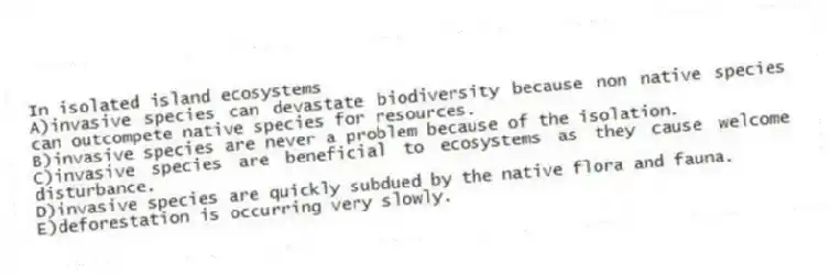 In isolated island ecosystems
A)invasive species can devastate biodiversity because non native species can outcompete native species for resources.
B)invasive species are never a problem because of the isolation.
C)invasive species are beneficial to ecosystems as they cause welcome disturbance.
D)invasive species are quickly subdued by the native flora and fauna.
E)deforestation is occurring very slowly.