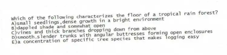 Which of the following characterizes the floor of a tropical rain forest?
A)small seedlings,dense growth in a bright environment
B)dappled shade and somewhat open
C)vines and thick branches dropping down from above
D)smooth,slender trunks with angular buttresses forming open enclosures
E)a concentration of specific tree species that makes logging easy