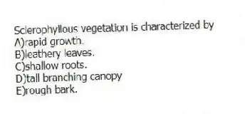 Sclerophyllous vegetation is characterized by
A)rapid growth.
B)leathery leaves.
C)shallow roots.
D)tall branching canopy
E)rough bark.
