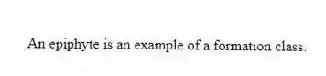 An epiphyte is an example of a formation class.